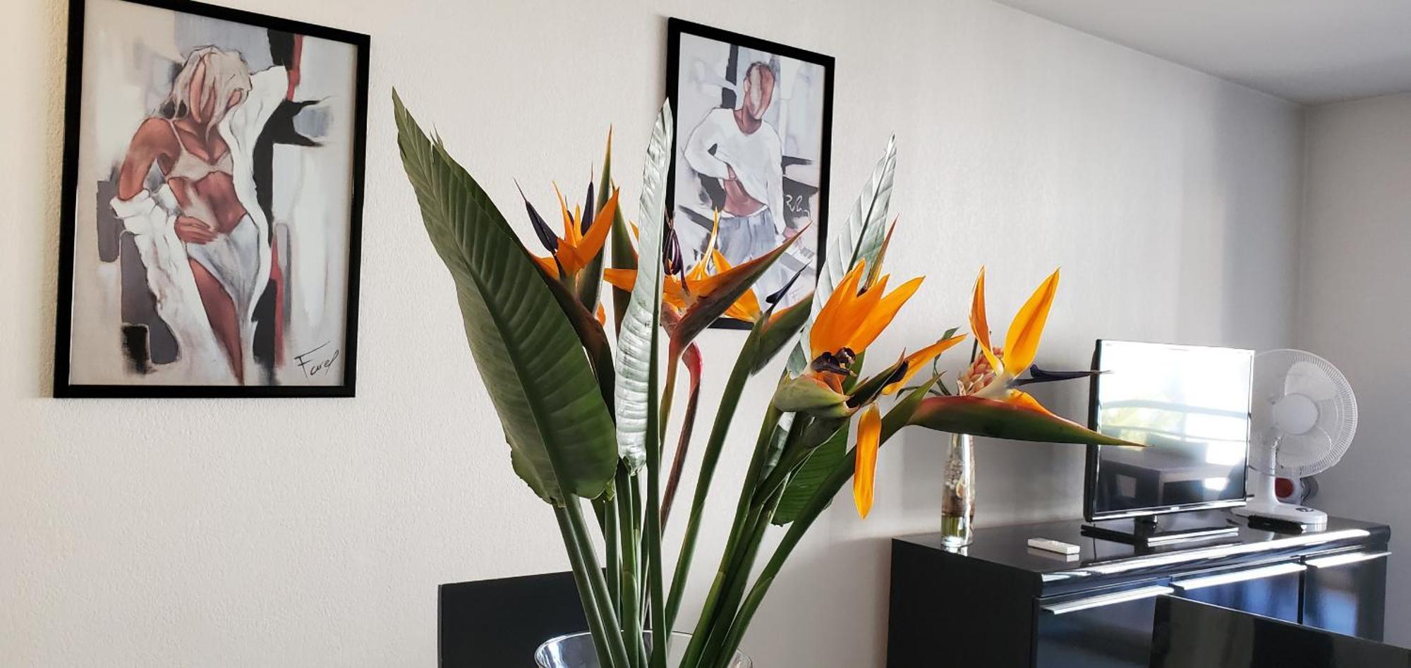 Cesaree Borghese, Port Frejus, Grand 2-3 Pieces, 4 Apartment *